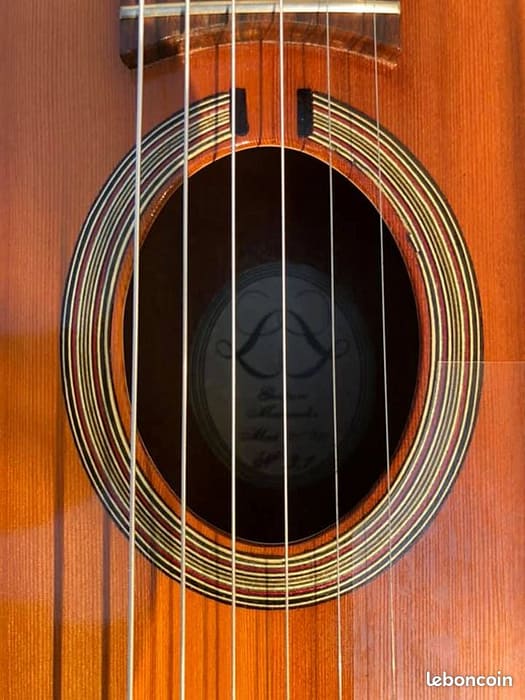 guitares-nature-laurent-le-goff-003