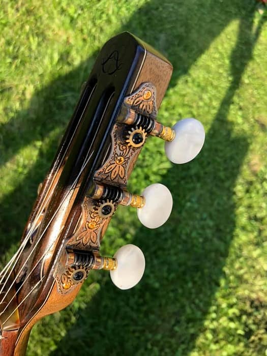 guitares-nature-laurent-le-goff-019