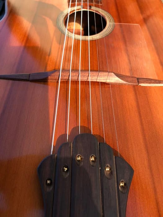 guitares-nature-laurent-le-goff-022