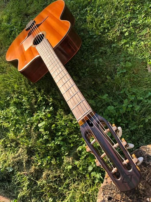 guitares-nature-laurent-le-goff-024