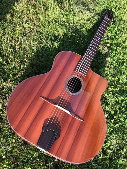 guitares-nature-laurent-le-goff-025