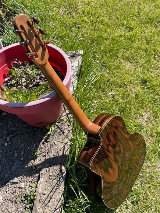 guitares-nature-laurent-le-goff-027