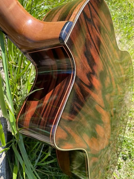 guitares-nature-laurent-le-goff-028