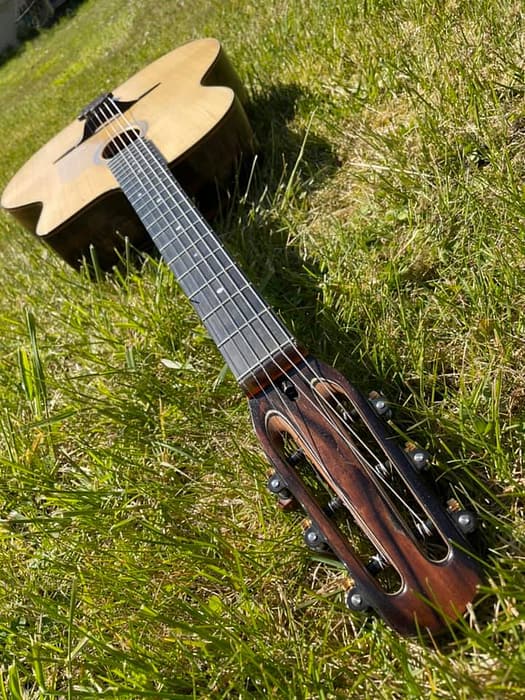 guitares-nature-laurent-le-goff-030