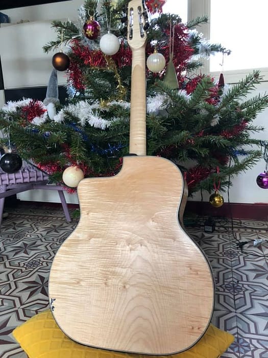 guitares-nature-laurent-le-goff-033