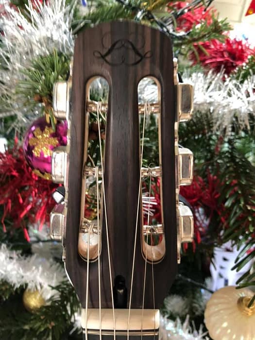 guitares-nature-laurent-le-goff-035