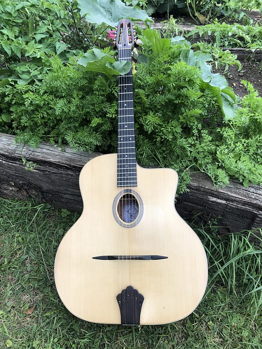 guitares-nature-laurent-le-goff-047