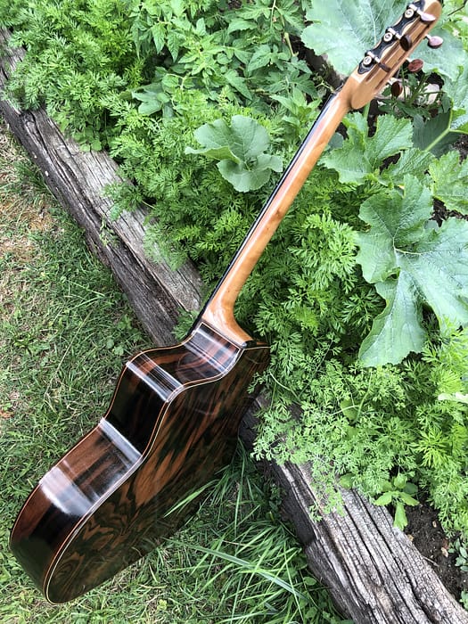 guitares-nature-laurent-le-goff-049