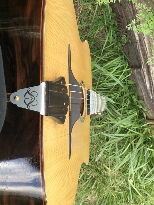 guitares-nature-laurent-le-goff-053