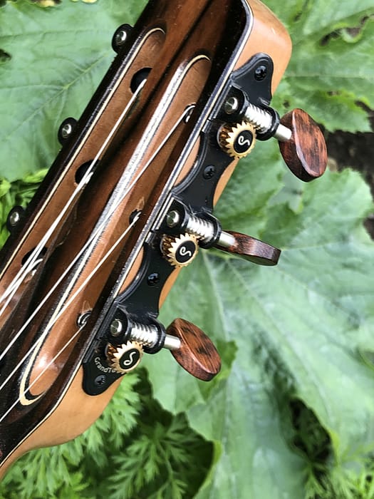 guitares-nature-laurent-le-goff-055