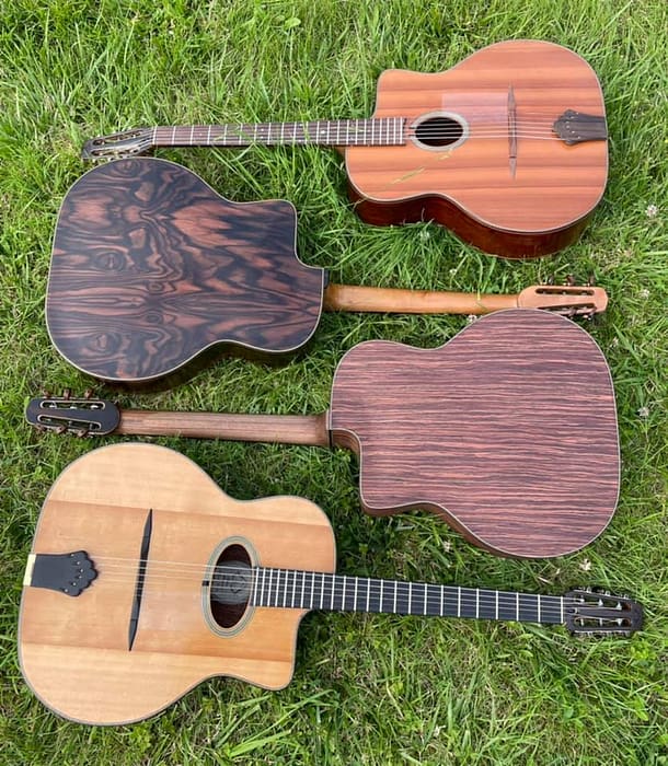 guitares-nature-laurent-le-goff-008