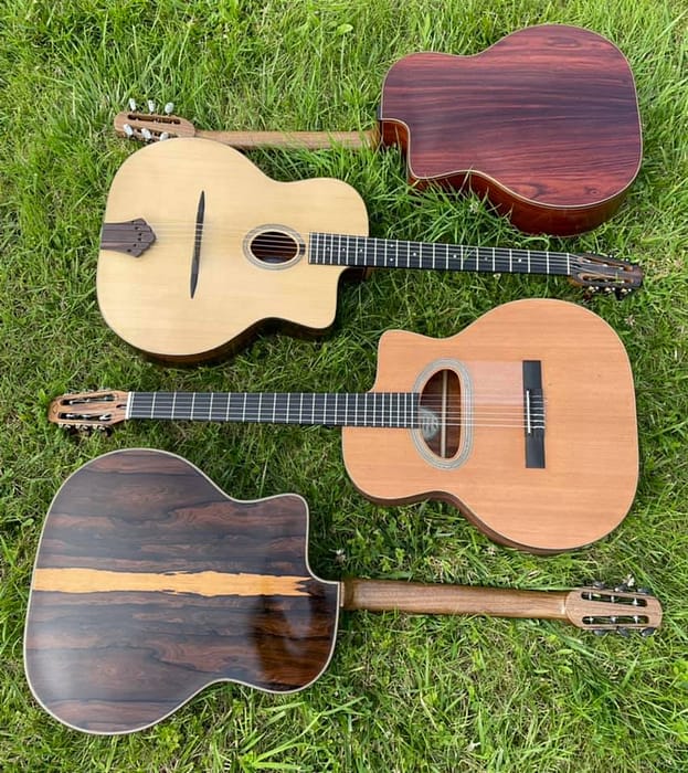 guitares-nature-laurent-le-goff-007