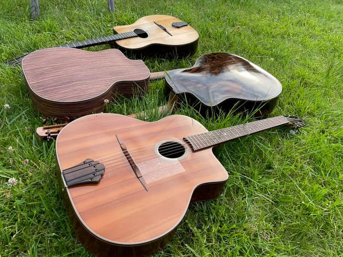 guitares-nature-laurent-le-goff-006