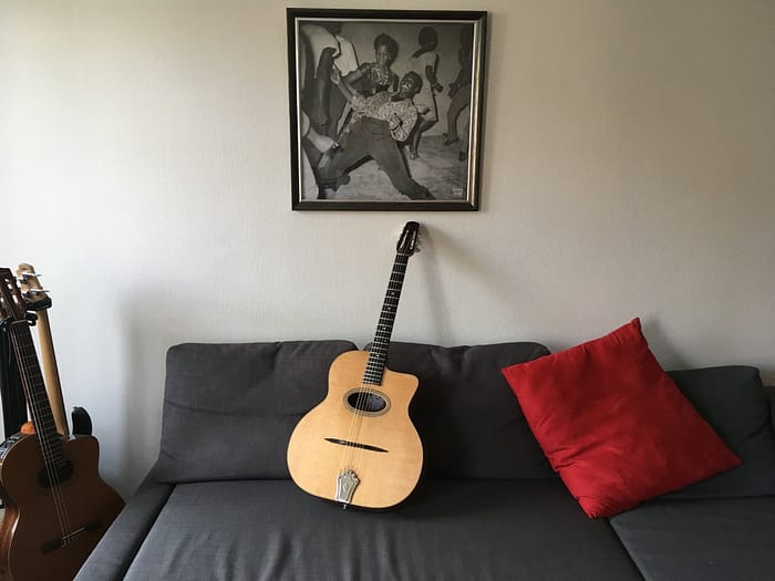 guitares-nature-laurent-le-goff-009