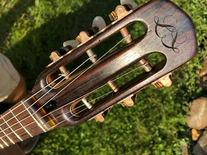 guitares-nature-laurent-le-goff-018