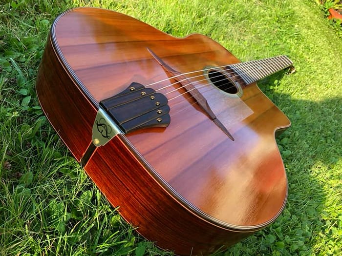 guitares-nature-laurent-le-goff-020