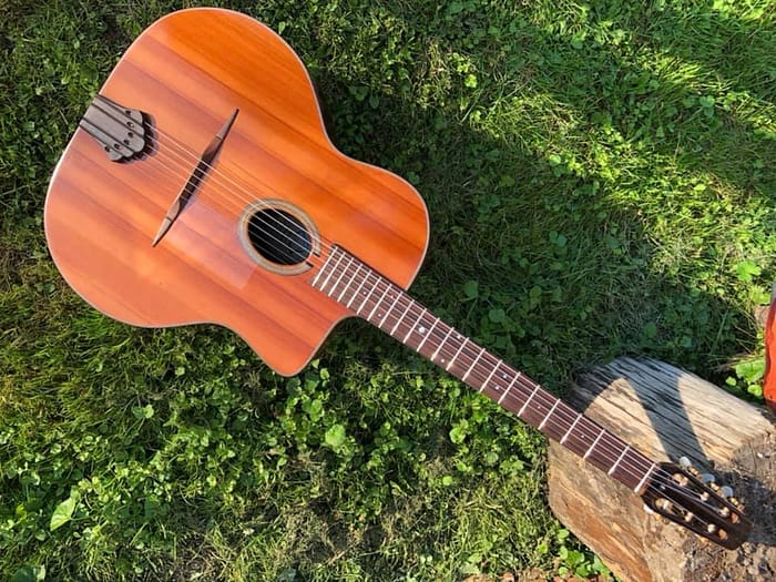 guitares-nature-laurent-le-goff-021