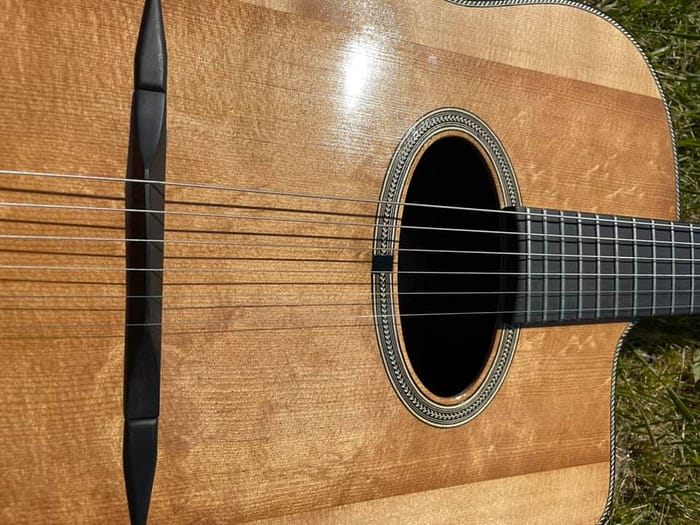 guitares-nature-laurent-le-goff-045