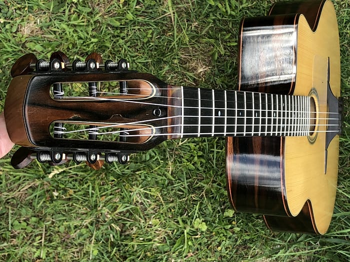 guitares-nature-laurent-le-goff-052